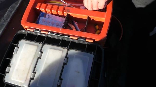 Берши и судаки на тюльку. Ловля берша в отвес с лодки.