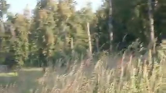 Одиночка и я в горку. смотреть онлайн