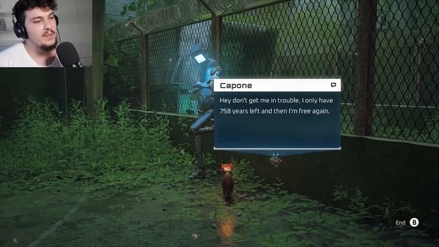 MKA MERZIT KJO LOJA | Stray - Pjesa 4 (FUNDI) смотреть онлайн