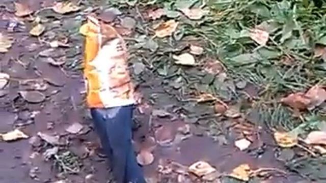 Голодная Вологодская ворона смотреть онлайн