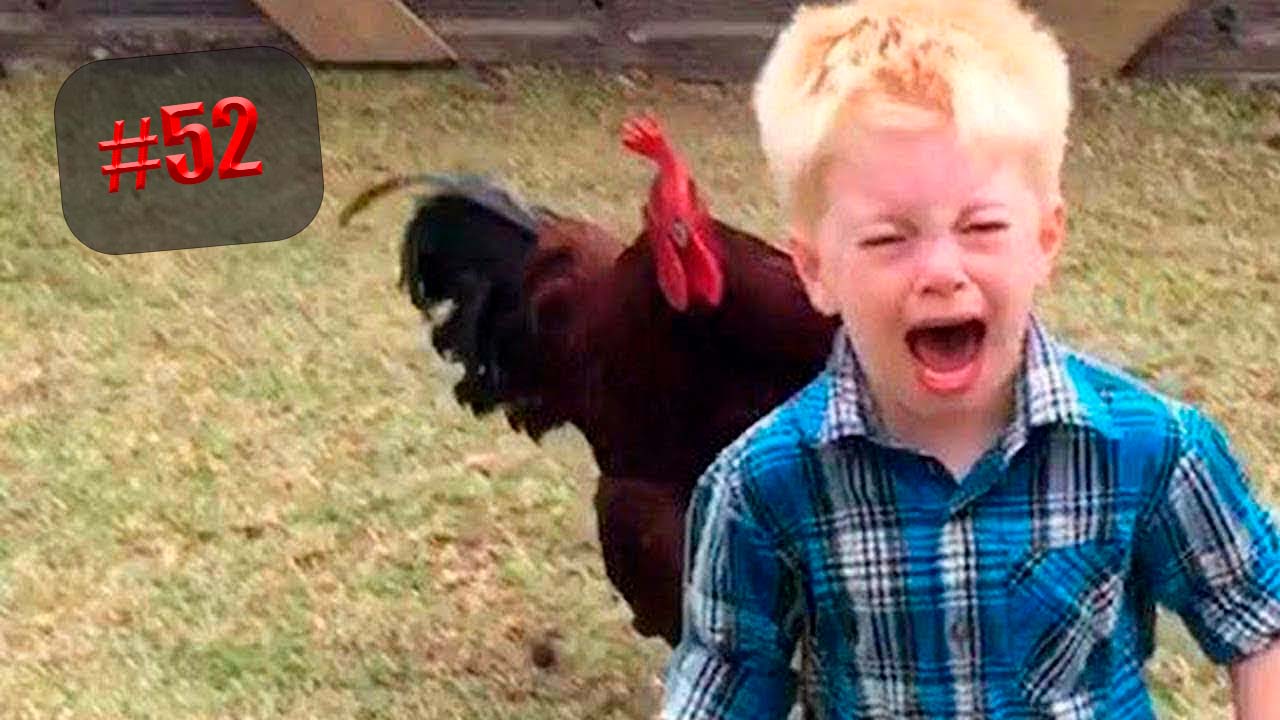 450 секунды Смеха ?? Смешных моментов | Милые котики Приколы с котами ?? Смешные коты #52 смотреть онлайн