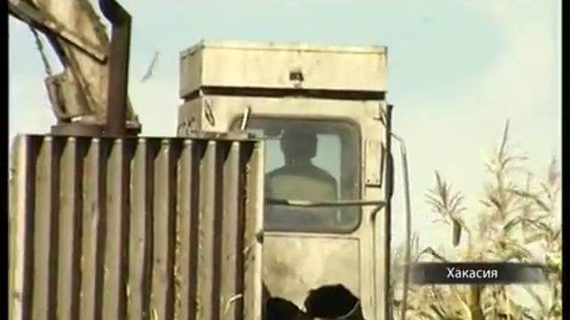 Хакасия начала убирать кукурузу смотреть онлайн