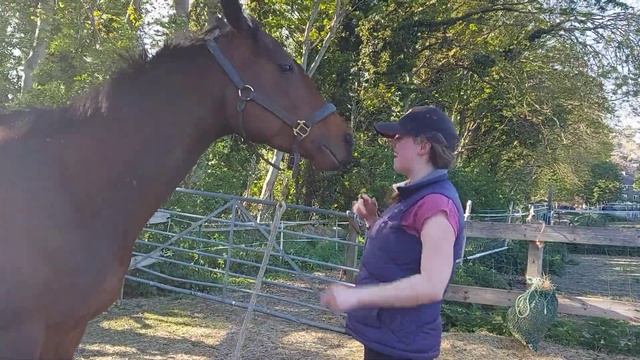 Learning the Hat-Trick! смотреть онлайн