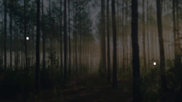 LIGER VS KODIAK BEAR - What If They Fought?