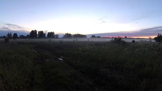 Ответ природы на вечный вопрос! Что делать? Стрелёнки. смотреть онлайн