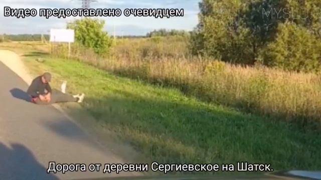 Под Тулой пьяный пешеход изобрёл новый способ пересечения проезжей части смотреть онлайн