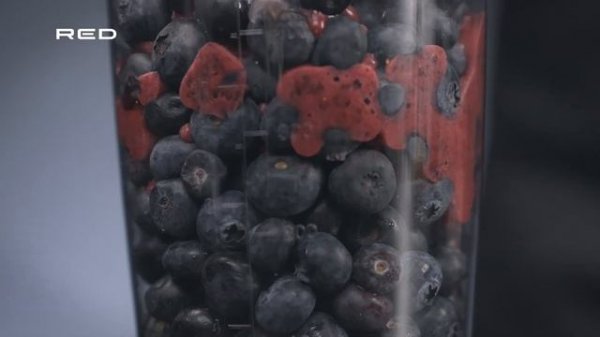 Блендер RED SOLUTION RHB-2913