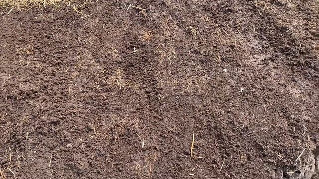 Биогумус - органическое удобрение произведённое калифорнийским червем. смотреть онлайн