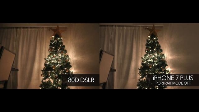 DSLR 80D VS iPhone 7 Plus image quality (Portrait mode) смотреть онлайн