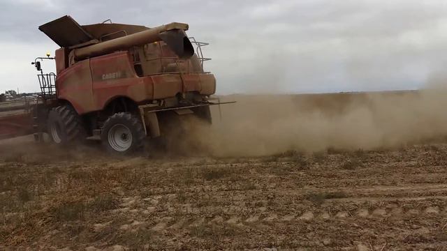 уборка сафлора 2015 смотреть онлайн