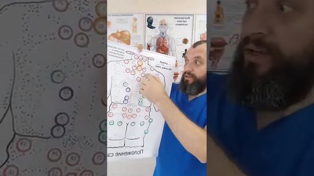 Сколько нужно пройти процедур Хиджама для комплексного оздоровления?Как часто нужно делать процедур смотреть онлайн