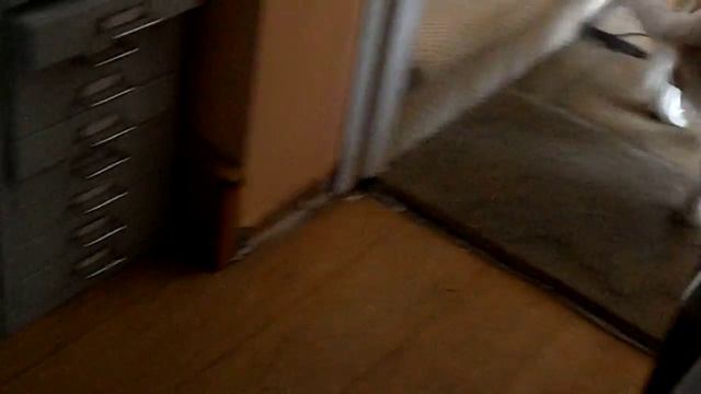 Button - The Blenheim King Charles Cavalier Spanield смотреть онлайн