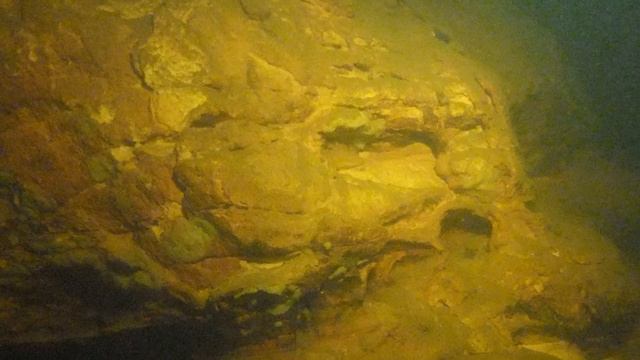 Необычный дайвинг с мышью. Fancy diving with the mouse. смотреть онлайн