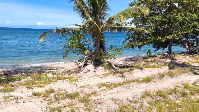 Playa Laiya Beach Front Lots - Reserve for only Php 100,000! Invest Now! смотреть онлайн