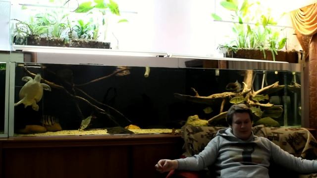 Аквариумные истории 2 смотреть онлайн