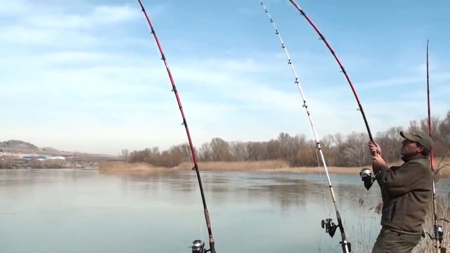Поклёвка и вываживание крупного сома, КРУТО!!! Spinning, Fishing, Big Catfish, Nice, Cool, Bigfish!