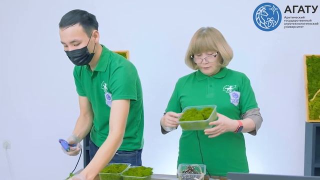 Лекция на тему: Вертикальное озеленение помещений стабилизированным мхом смотреть онлайн