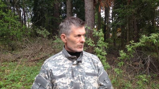 Свалка в сосновом бору смотреть онлайн