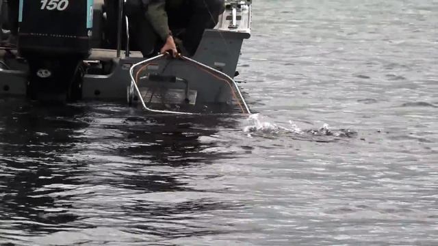 Большие рыболовные приключения. Сызрань. Часть 2 смотреть онлайн