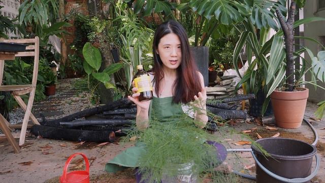 Kokedama - EASY & CREATIVE WAYS to hang plants + 6 Pro Gardening Tips смотреть онлайн