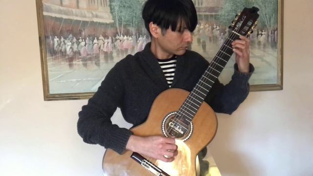 Napoleon Coste Op. 38 Etude 22 смотреть онлайн