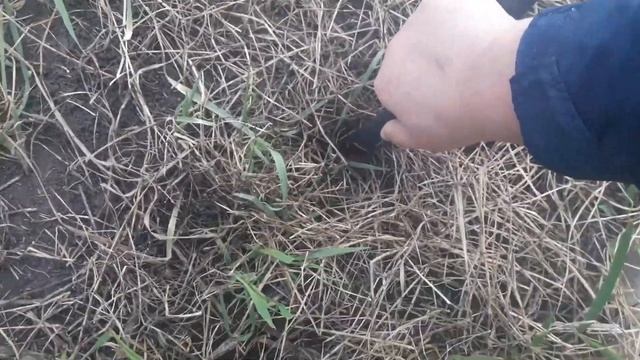 Все правда о колышках на Парник Подснежник смотреть онлайн