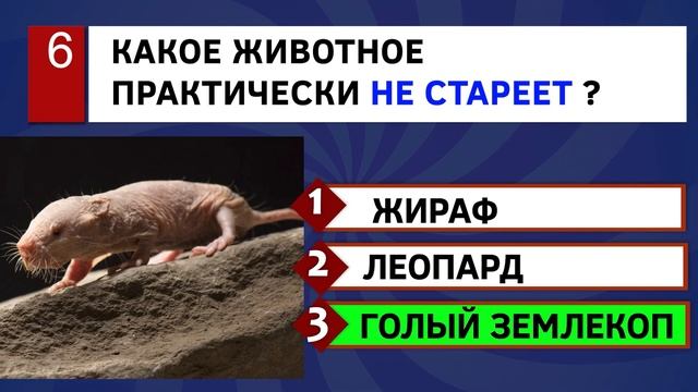 НА ПОСЛЕДНЕМ ВОПРОСЕ ВСЕ СЫПЯТСЯ ? Тест на эрудицию #22 смотреть онлайн