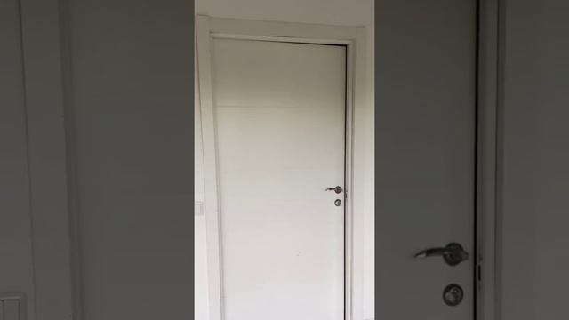 ШПИЦ КАССИ И КОШКА СОФА ПОССОРИЛИСЬ?!? смотреть онлайн