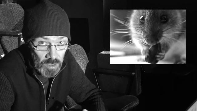 Как поступить в театральный ВУЗ. План действий. смотреть онлайн