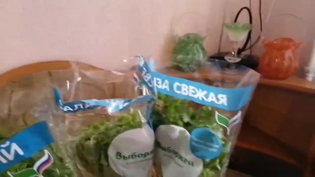 Влог: сливочное масло для лица*закупка в магните*сушим яблочки. смотреть онлайн