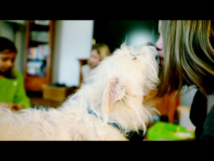 Спасенные (Saved) смотреть онлайн