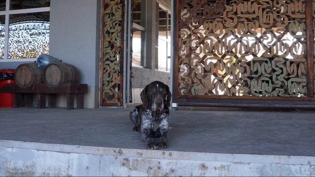 Рыбалка Астрахань Сентябрь - Октябрь, 2020 смотреть онлайн