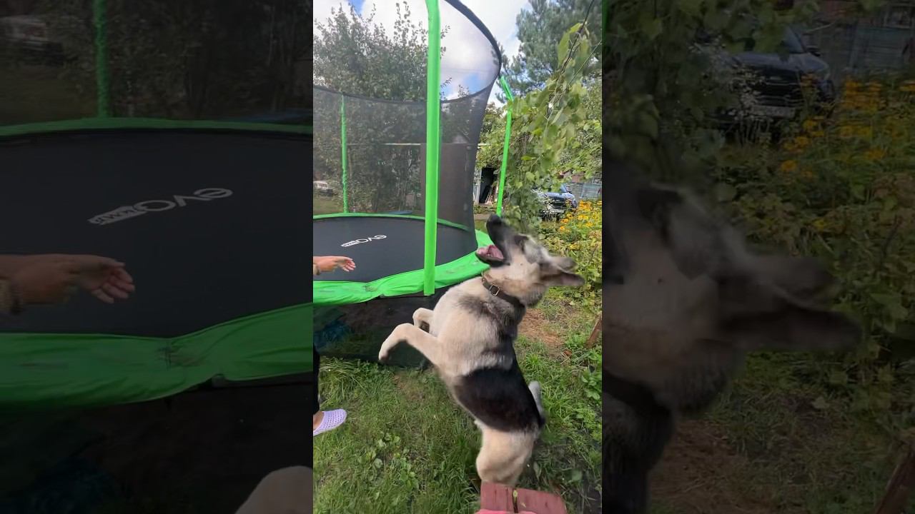 Zara в ожидании дождя смотреть онлайн