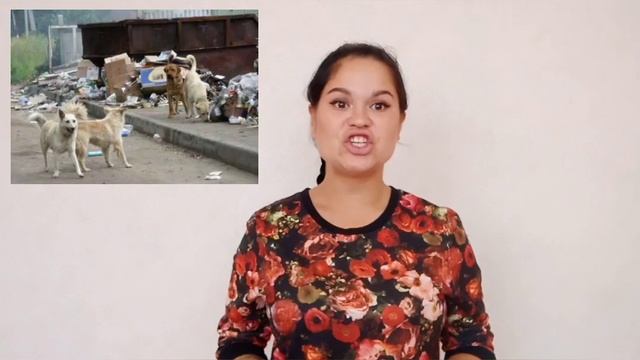 Тематический видео ролик «Всемирный день бездомных животных» смотреть онлайн