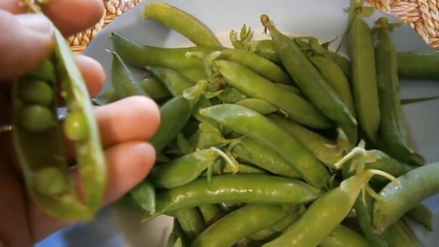 Эзотерические тайны