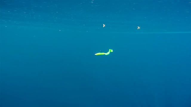 Berkley PowerBait 3" Grub смотреть онлайн