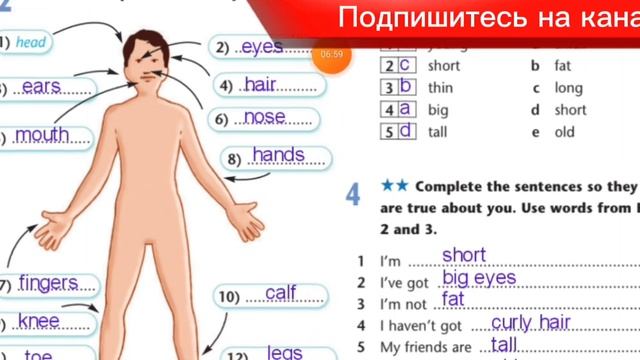 Excel 5-сынып Ағылшын тілі workbook page 12 бет смотреть онлайн