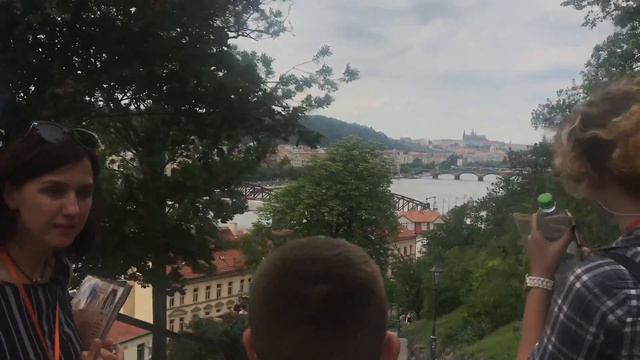 Летний лагерь со львом смотреть онлайн