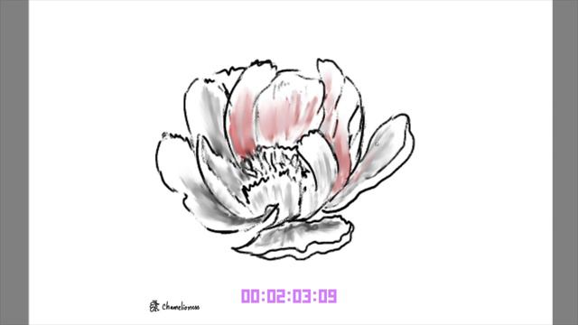 Daily Sketch No. 1 - Drawing a Peony in 5 minutes | Episode no. 4 | chamelioness смотреть онлайн