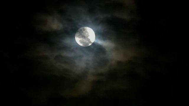 Александр Блок. Ночь, улица, фонарь, аптека. смотреть онлайн