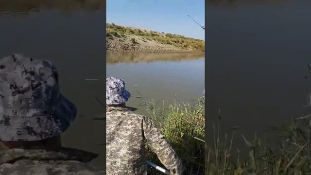 Рыбалка Змееголов трофей КАЗАХСТАН смотреть онлайн