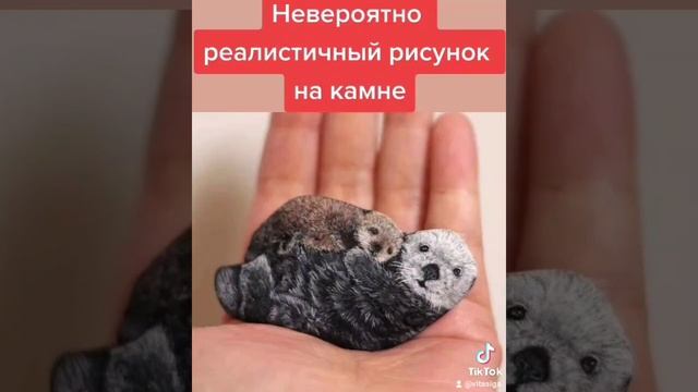 Реалистичный рисунок на самом обычном морском камне изображение животных на маленьком камушке смотреть онлайн