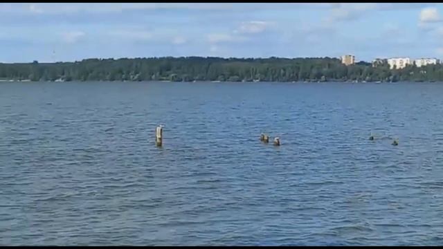 Озеро Сенеж смотреть онлайн