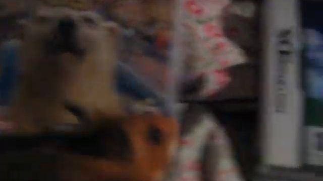 My Hamster Named Daisy. смотреть онлайн