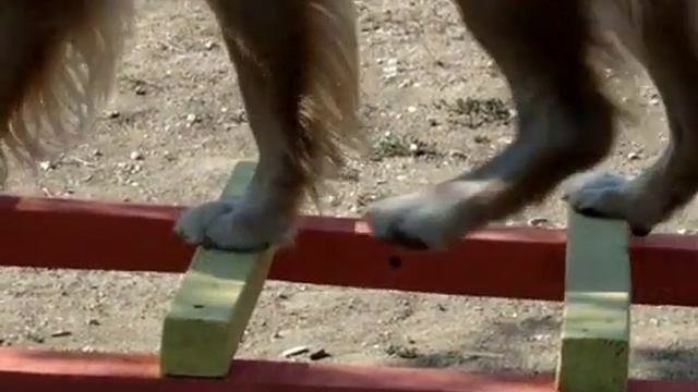 ПСС.Чеба.Горизонтальная лестница. смотреть онлайн