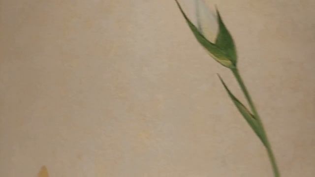 Даня Дунай Декор - картина, панно "Ирисы" смотреть онлайн