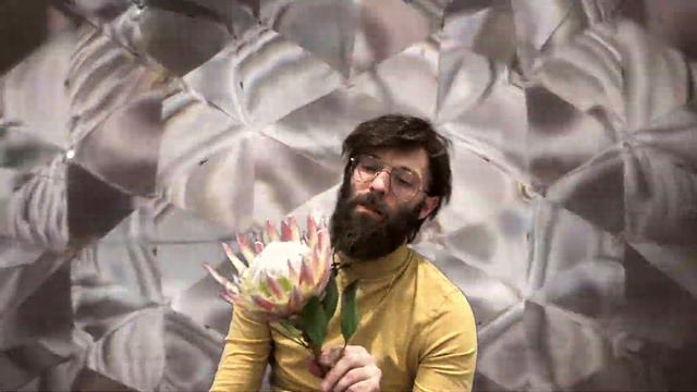 King Protea смотреть онлайн
