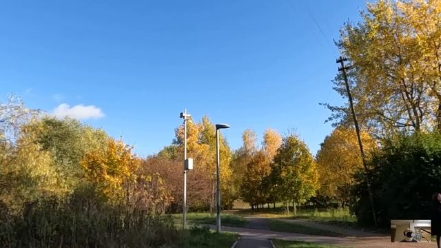 Медсестра привела бродягу знакомиться с безногим отцом, а едва он предложил жениху попариться в бан смотреть онлайн