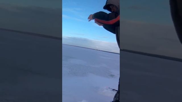 Сумасшедший клёв зимой на Финском заливе! | Ловля корюшки зимой | Зимняя рыбалка | Репино смотреть онлайн