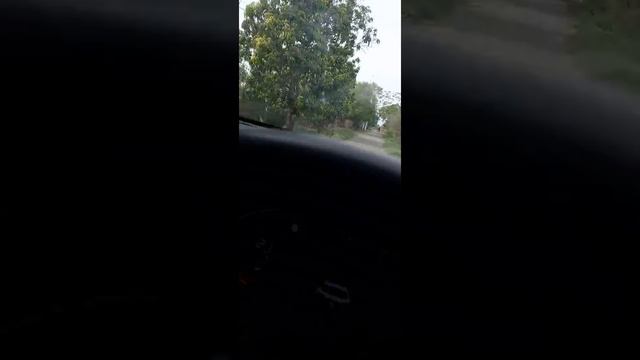 pool party #todaynews #trending #viral #pakistan смотреть онлайн